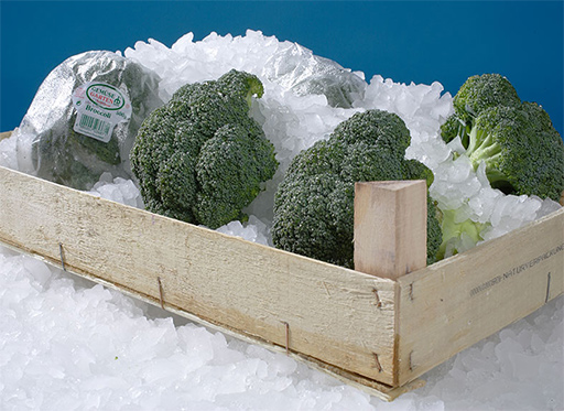 Agriculture and Produce
