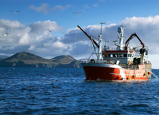 Oceaning Fishing