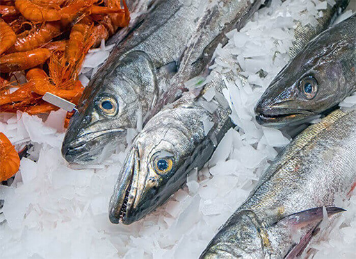 Seafood